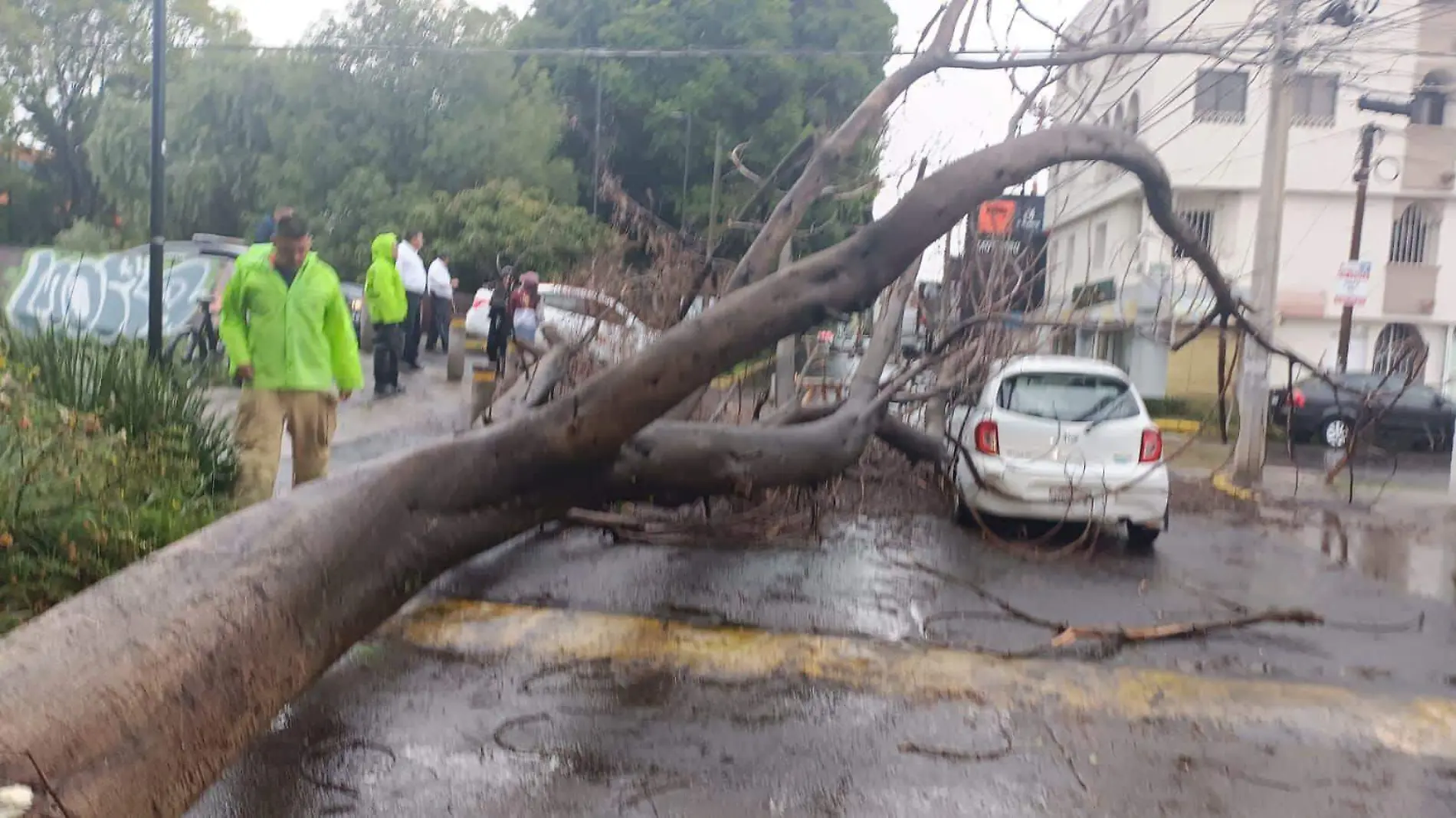 lluvia Morelia